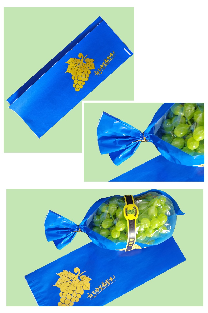阳光玫瑰葡萄包装袋专用纸袋日本晴王青提夏黑葡萄保鲜二次包装纸