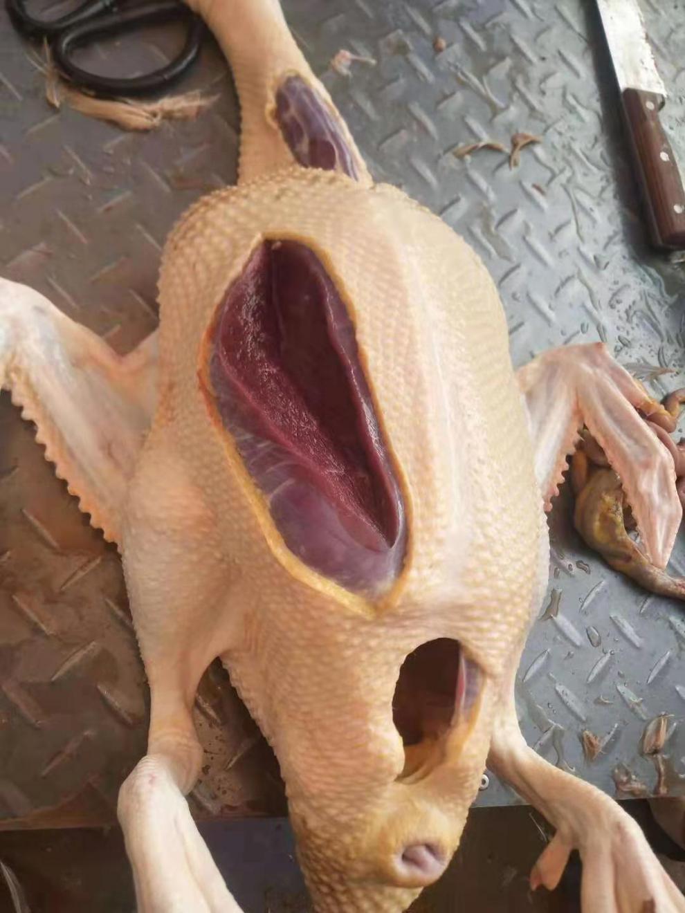 农家散养番鸭红头鸭土鸭子红脸鸳鸯新鲜活体现杀现发生鲜整只鸭肉杀好