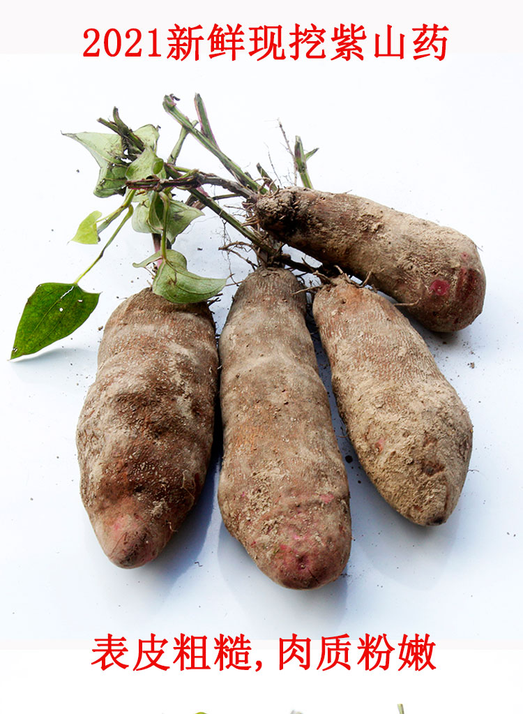 江西赣州赣南现挖新鲜紫山药淮山脚紫人身板薯紫玉淮山紫大薯农家种植