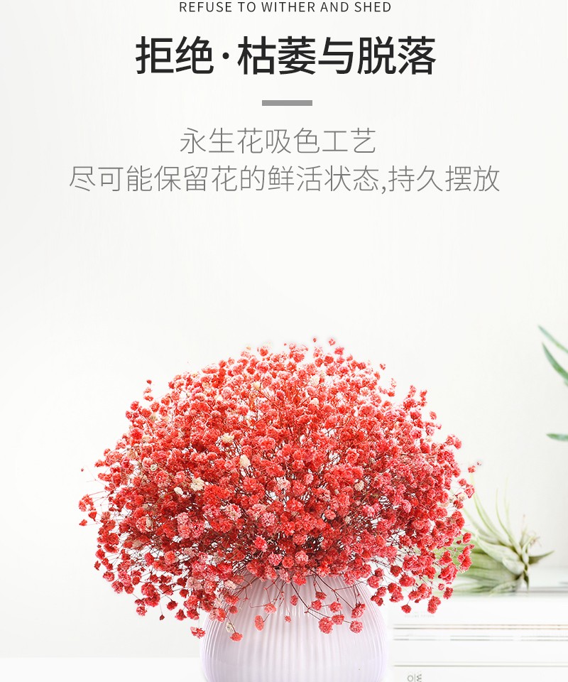 满天星干花真花风干花束女生礼物鲜花家居办公室插花摆件大束蓝色满天星 椭圆花瓶 图片价格品牌报价 京东 满天星干花真花风干花束女生礼物鲜花家居办公室插花摆件大束蓝色满天星 椭圆花瓶 图片价格品牌报价 京东