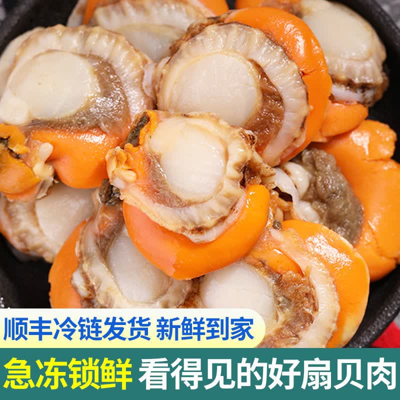 特大号扇贝肉裙边贝超大个海鲜水产去壳熟冻 现剥扇贝 1斤尝鲜装