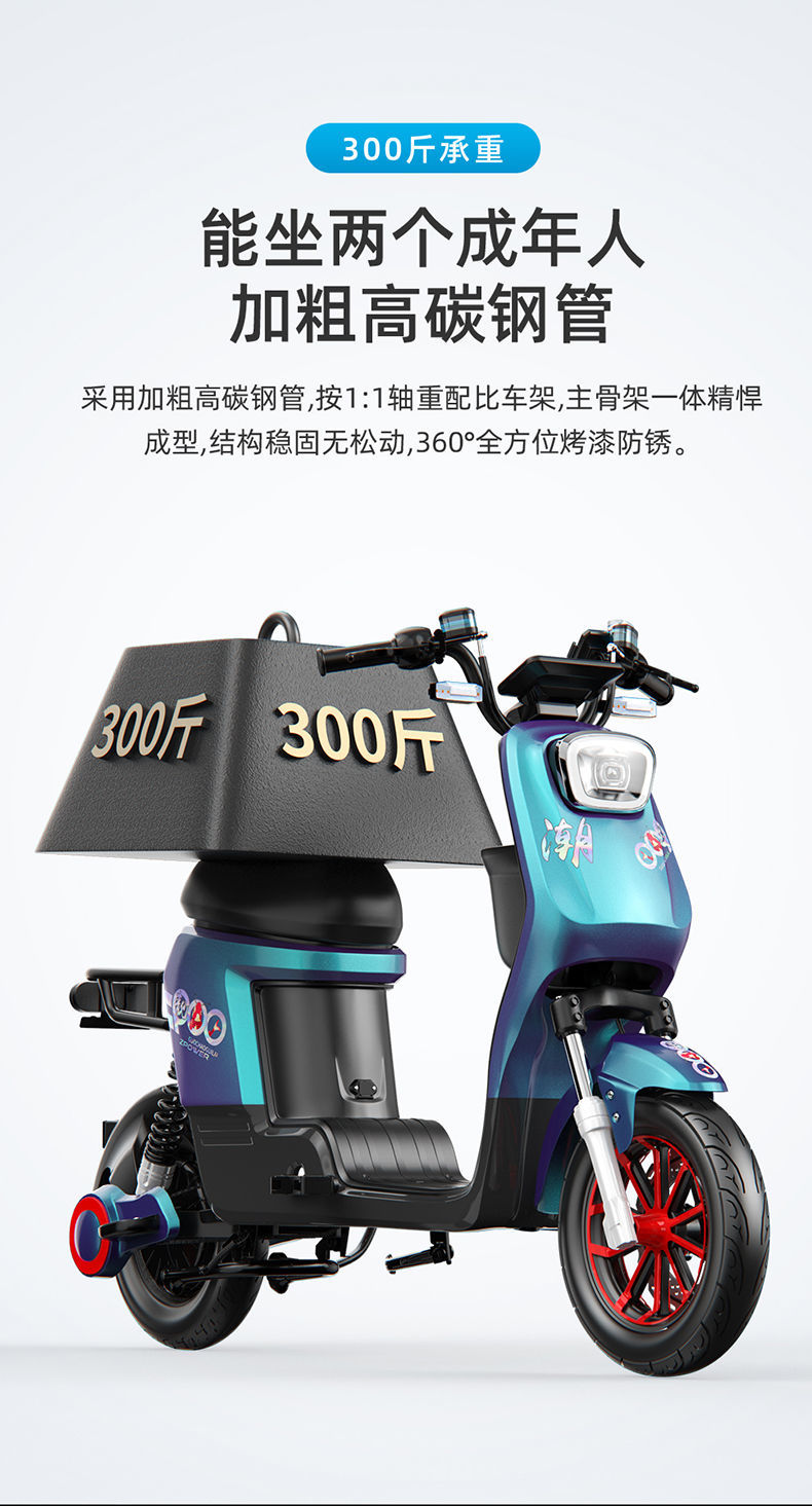 009长跑王新国标外卖电动自行车锂电池专用代步电瓶车全国可上牌黑色