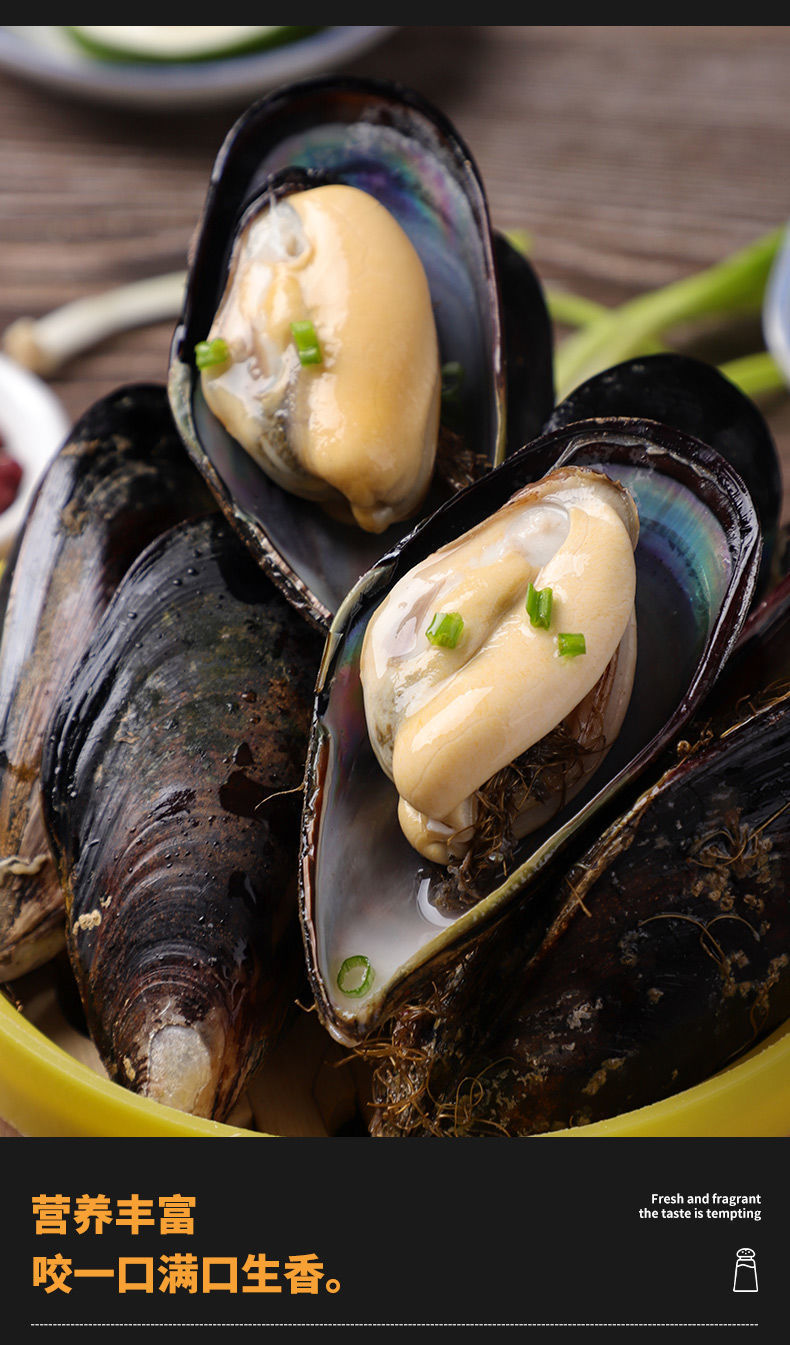 鲜活海虹大号青口贝现捕贻贝淡菜新鲜紫口贝类海鲜水产当天现捕大号