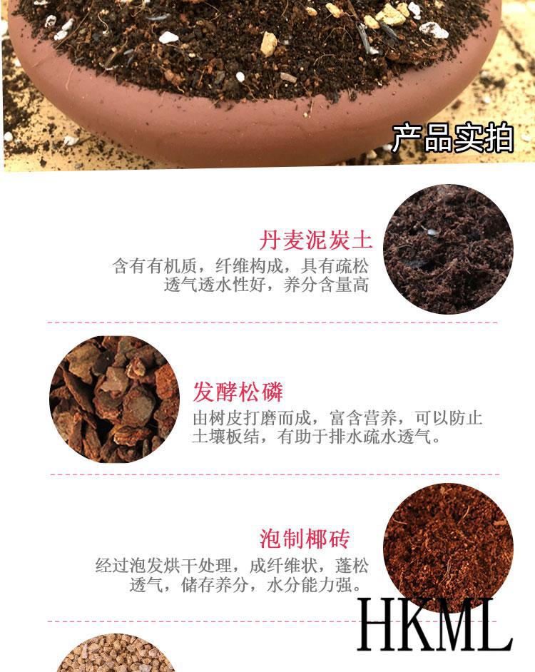 君子兰土专用土透气家用肥料兰花植料专用营养土hkml君子兰专用土五斤