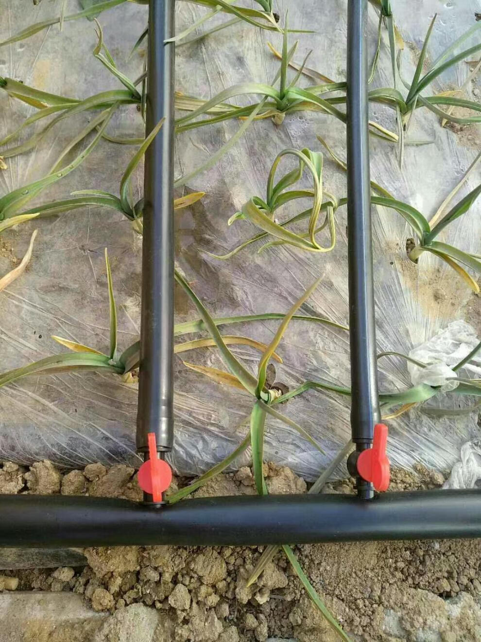 pe盘管黑色水管大棚果园微喷灌滴灌管节水灌溉16 20 25 32主支管 外