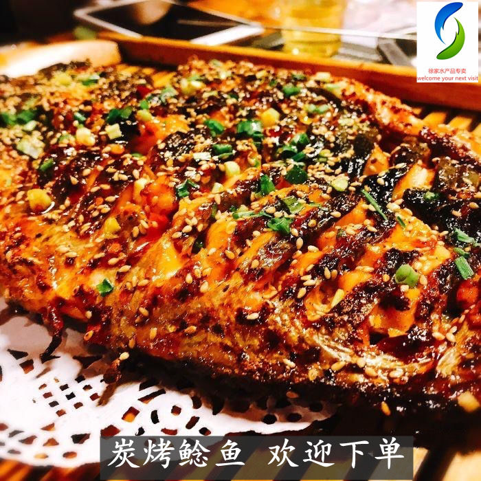 鲶鱼大口胡子鲶新鲜活体现杀铁锅鲶鱼无杂刺烧烤鱼淡水鱼冷鲜切块装50