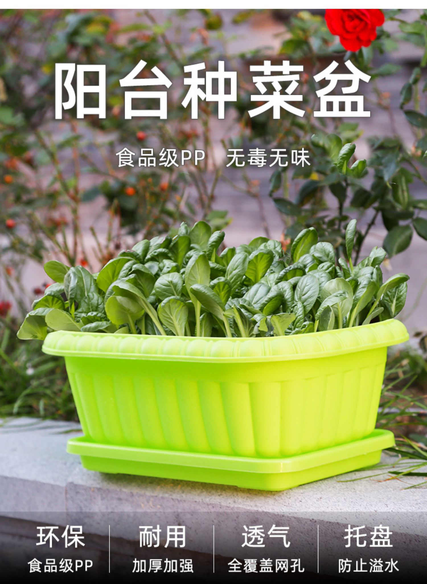 种菜盆神器家庭阳台塑料槽室内花盆小香葱生菜空心菜蔬菜种植套餐