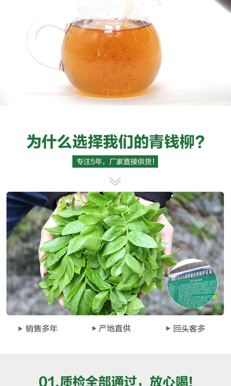 亏本卖啦青钱柳茶嫩芽降糖神茶张家界野生古树特级金钱柳嫩芽尖三降
