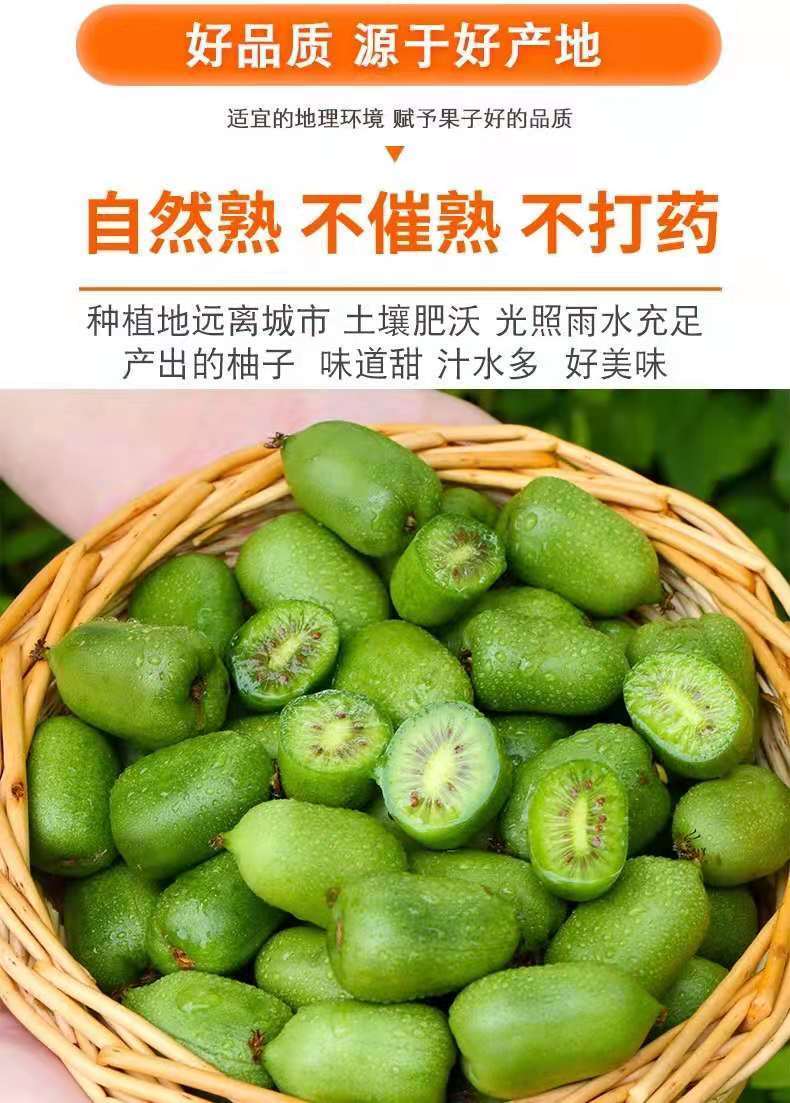 丹东软枣猕猴桃新鲜时令水果新鲜采摘奇异莓【坏果包赔 1斤装 长形