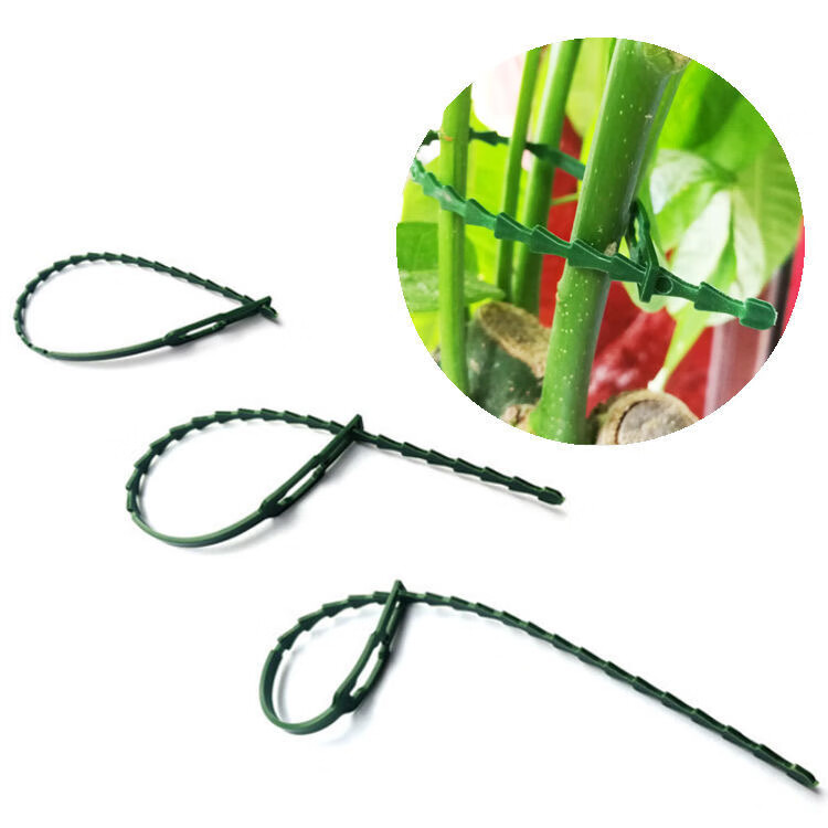 绿色园林鱼骨可调节捆绑扎带多用途绑树花卉植物爬藤固定园艺扎线长17