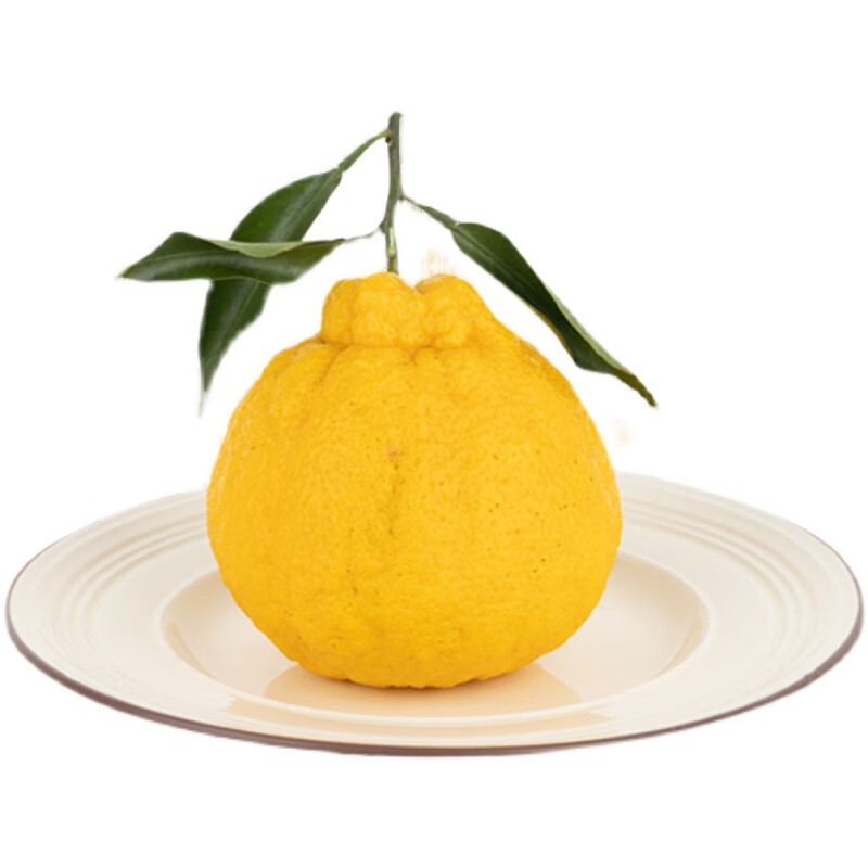 柠檬不知火正宗大果四川浦江柠檬丑橘丑八怪新鲜丹棱甜特级桔子 大果