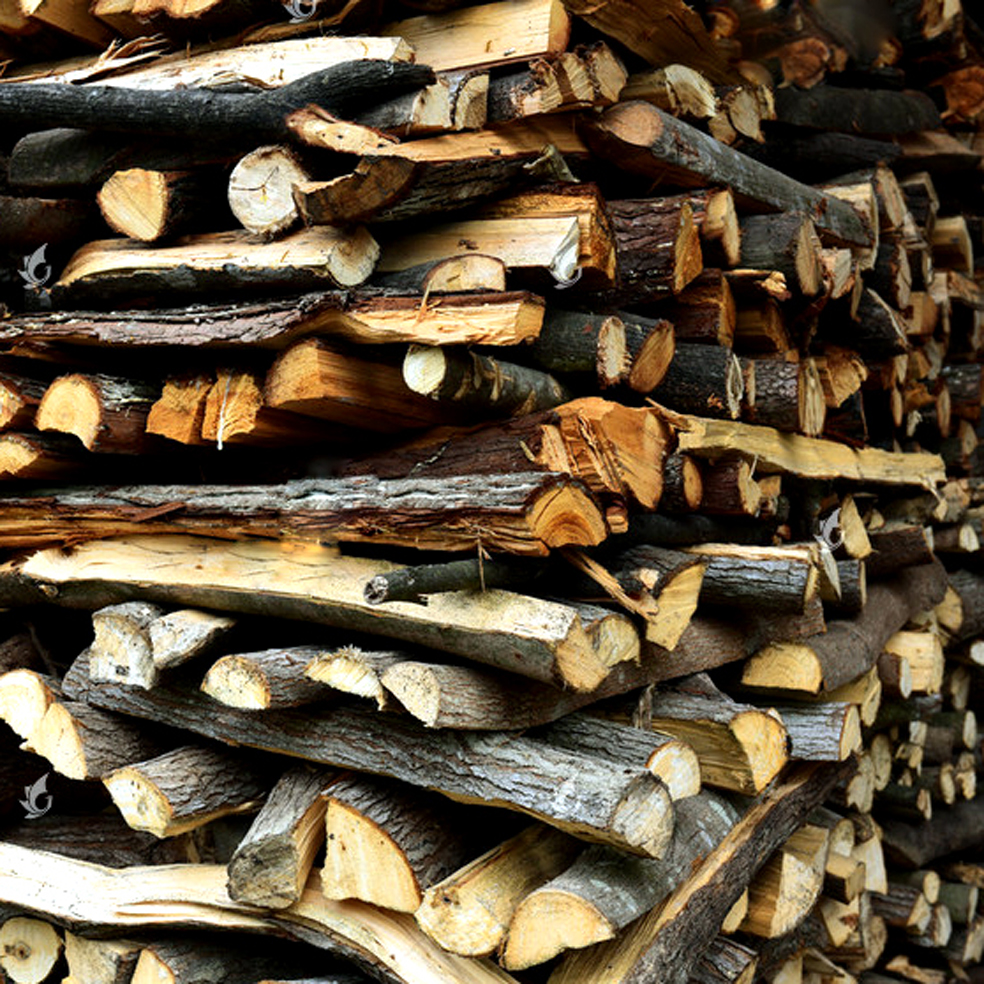 慕光冬季烤火取暖野炊露营木材干柴壁炉木柴原木篝火木头烧火木 10斤
