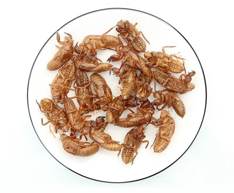蝉蜕100g蝉脱金蝉衣金蝉壳蝉皮蝉壳蝉衣 知了皮知了壳【图片 价格