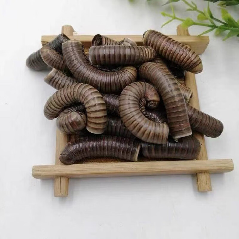 情川堂 马陆 中药材山蛩虫 百节虫 滚山虫 500克 当季新货 500g