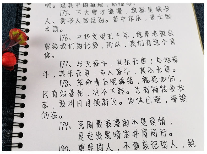 鲸落体字帖电子版打印图片