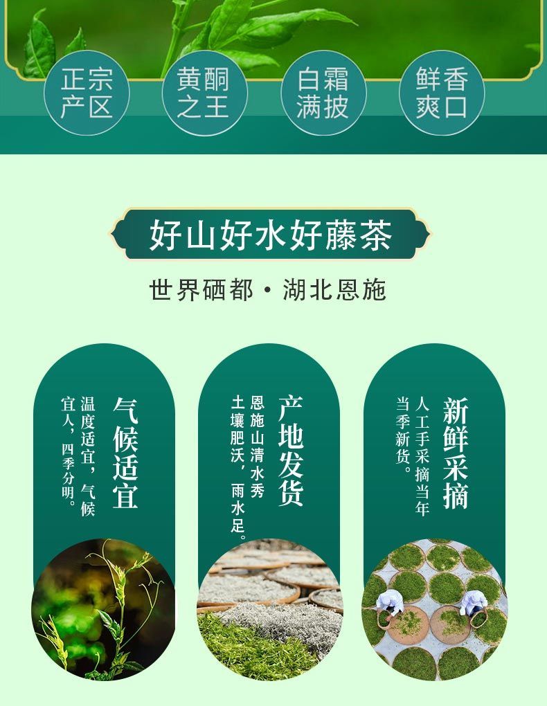 湖北恩施富硒藤茶正宗特级莓茶养生降高调理125g礼盒250g正宗来凤藤茶