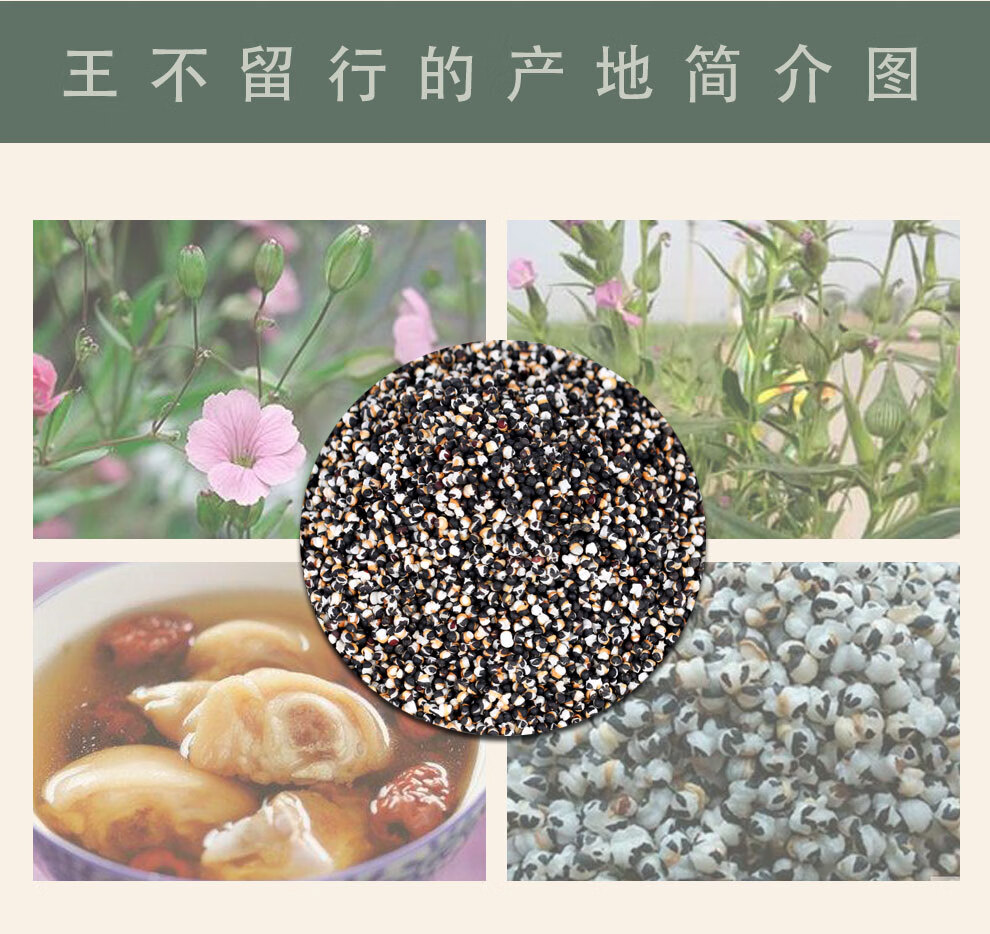 汉资堂炒王不留行子王不流行籽炒王不留行可搭配通草益补萃王不留行