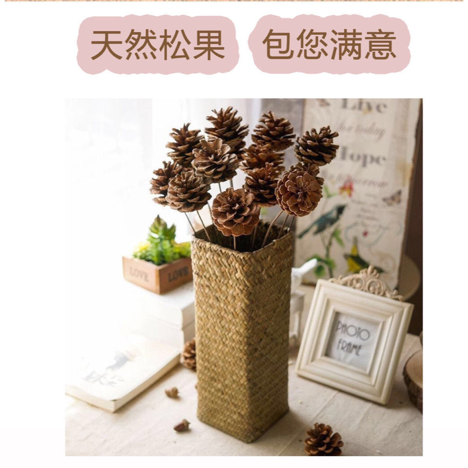 芊阙*轻奢芊阙天然松果松塔松果球圣诞装饰摆件幼儿园手工松果画装饰