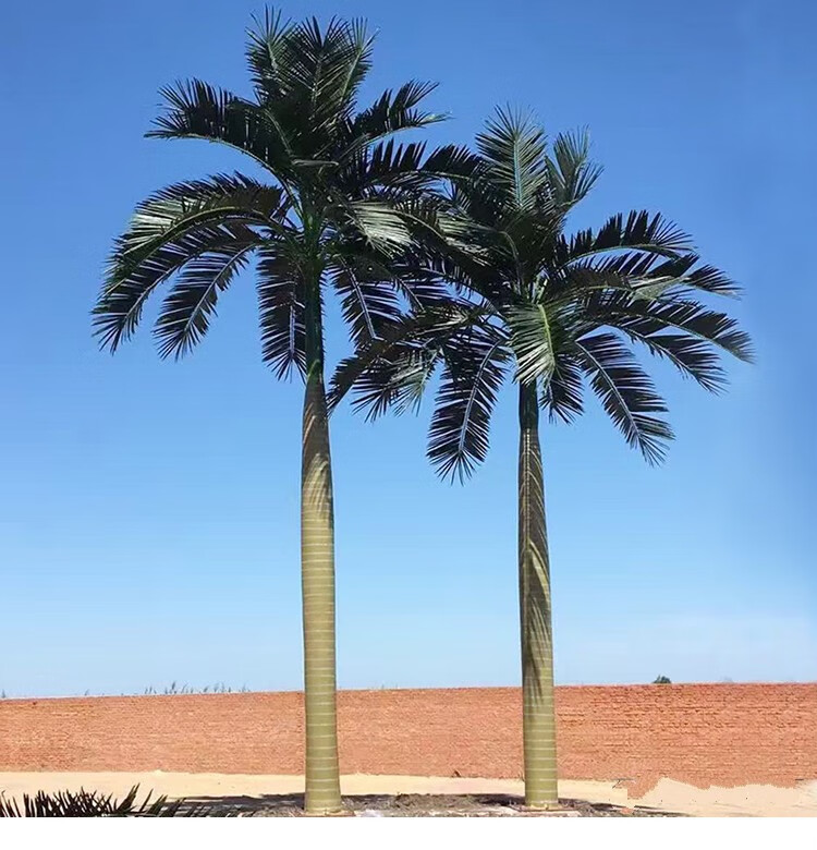 仿真椰子树大型人造景观树热带绿植装饰假椰树叶子户外假树棕榈树落地