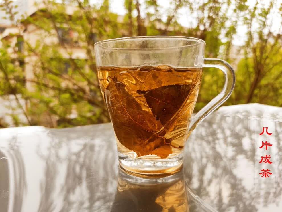 一匹罐灌湖北海棠叶宜昌三匹罐凉茶一皮三皮罐茶叶红花大叶茶叶 饭店