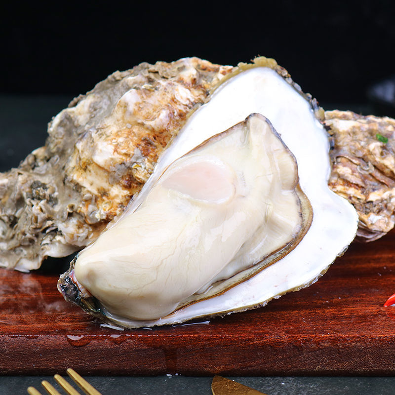 新鲜生蚝鲜活生蚝带壳海蛎子贝类海鲜水产 10-12只/斤 3斤装【实惠】