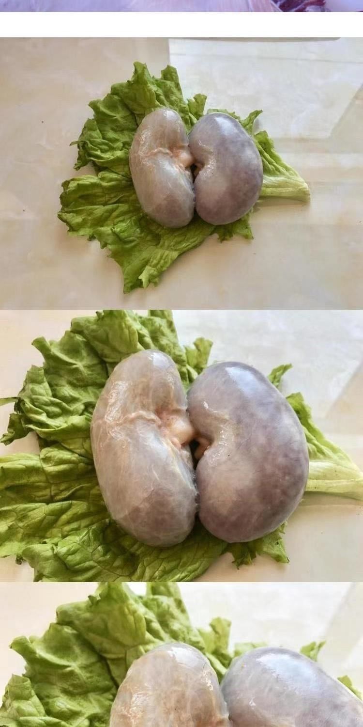 伟博鲜鹿肾吉林梅花鹿鹿肾鹿腰子鹿茸鹿鞭鹿心鲜鹿肉泡酒料新鲜一对