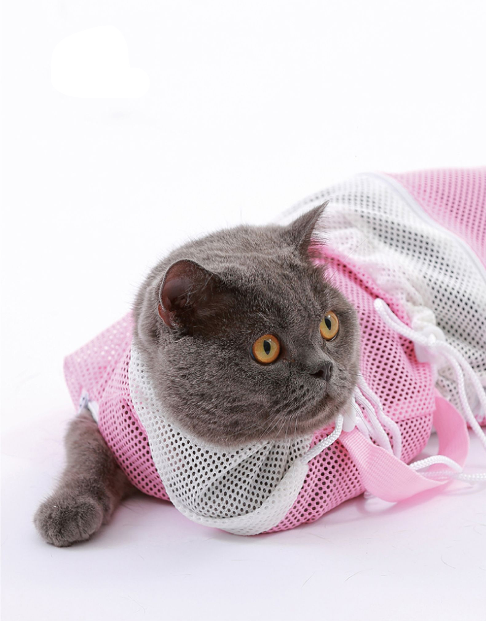 商品名称:班奇盾 猫咪洗澡神器防抓咬小猫剪指甲固定防跑洗澡袋宠物