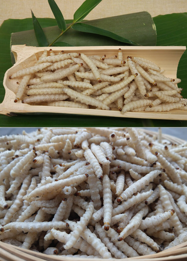 伟博精选速冻1斤无冰干冻竹虫小竹虫 细竹虫竹节虫竹蛆 广东满2件