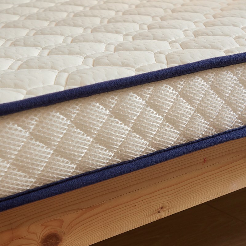 大学生宿舍防潮床垫大学生寝室用乳胶床垫学生宿舍单人硅胶四季通用可