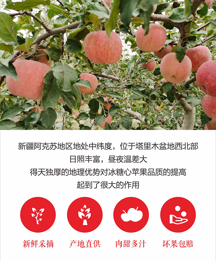 巴州馆新疆阿克苏冰糖心苹果水果苹果5斤装