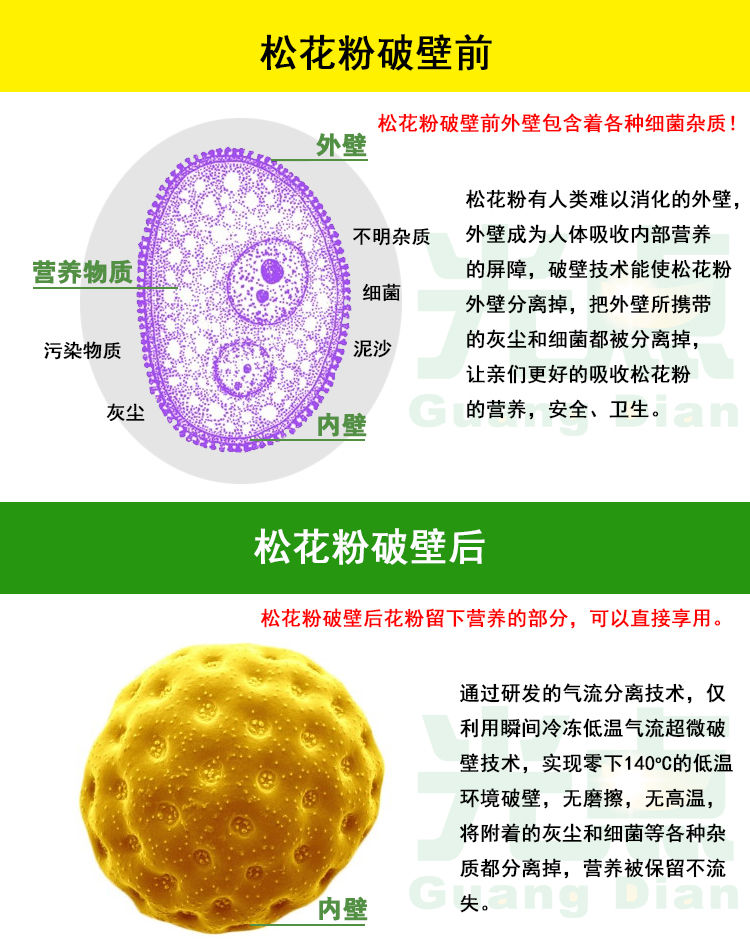 伟博云南天然松花粉片 头道粉破壁不加糖330片/165克厂家直销 165g