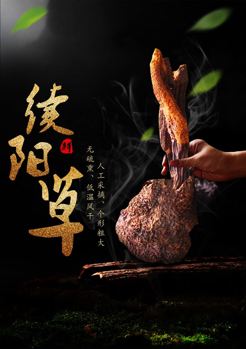 北京同仁堂 原料中药材干品云南野生锁阳 顶天柱 续阳草 龙阳草100克