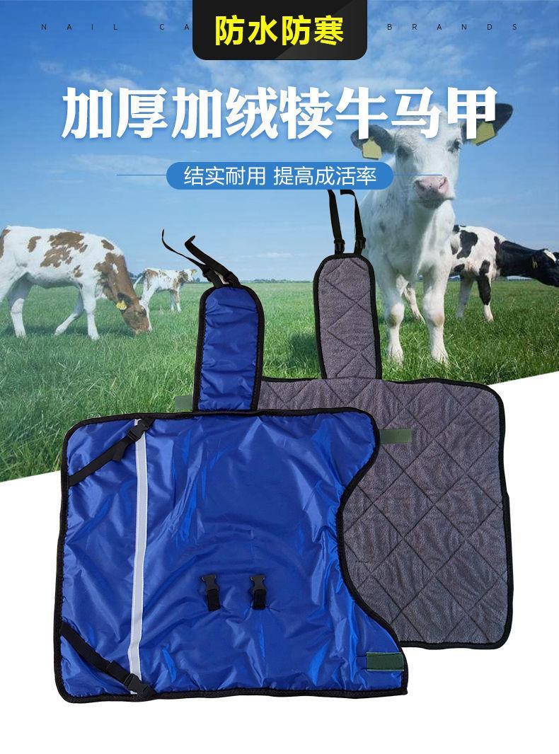 犊牛马甲牛犊保暖外套加厚加大加绒犊牛防寒防水衣服小牛保温外衣hxm2