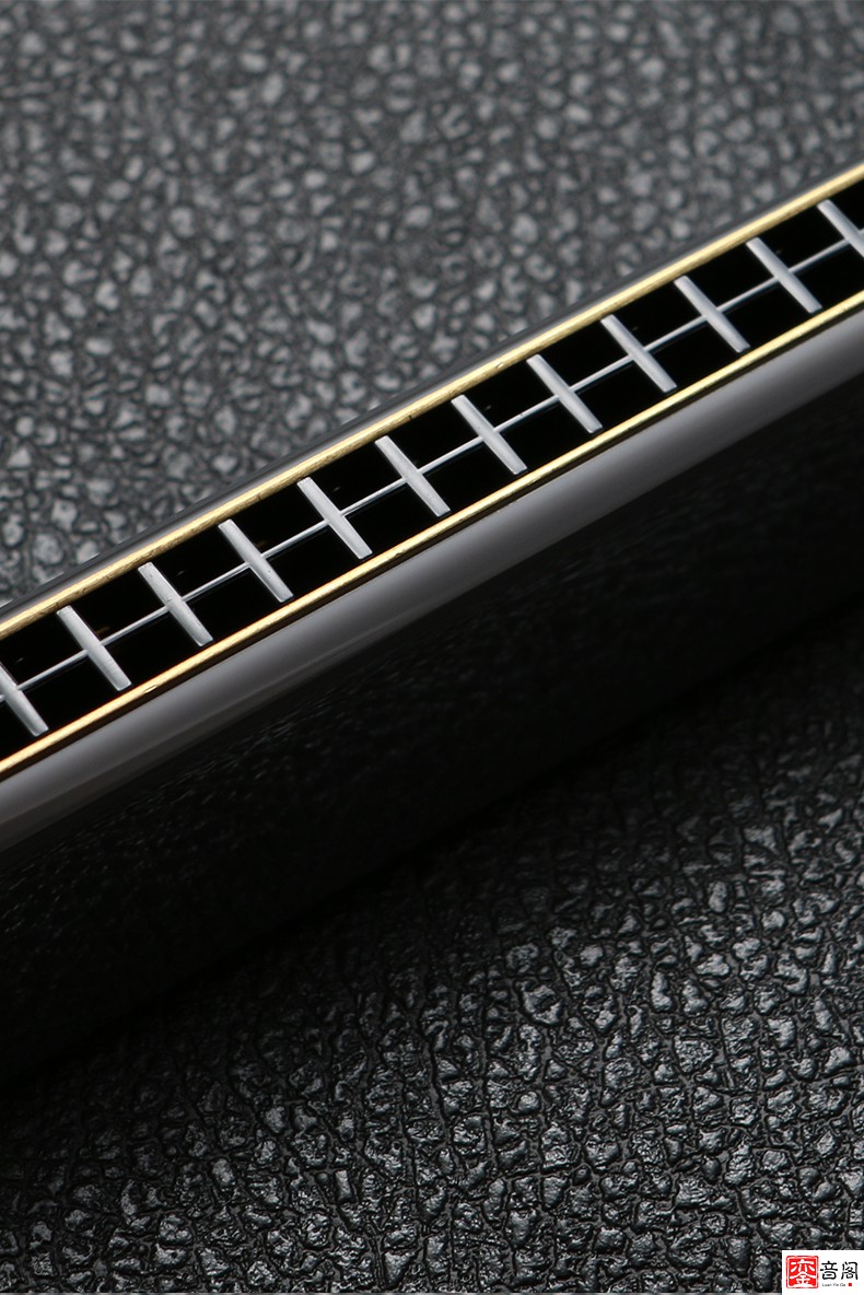 通宝6624stombo通宝口琴6624s套装12大学生用自学专业演奏级24孔复音