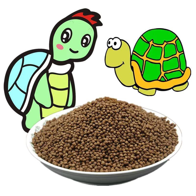 正宗斑点乌龟外池龟满天星龟星点龟深水龟宠物饲料