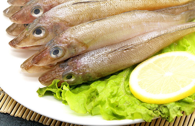 新鲜沙丁鱼海捕冷冻海鲜超大整条鲜活鱼水产腾旺纳跃小号4斤净重约92