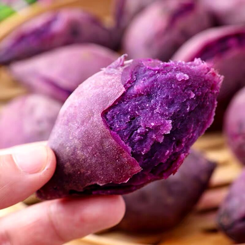 媚调 越南小紫薯【现挖现发】新鲜沙地紫薯新鲜孕妇宝宝果产地直发小