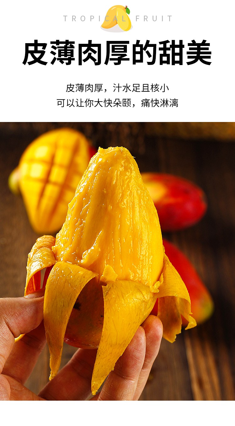 州珮生鲜广西百色贵妃芒果贵妃芒百色水果广西贵妃芒9斤特大果单果200