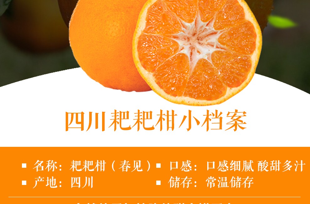 四川春见耙耙柑丑柑丑橘新鲜水果蔬菜生鲜节后健康饮食9斤7585mm吃货