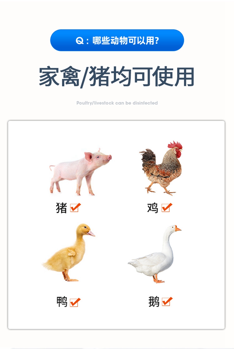 徽千方氨苄西林钠可溶性粉兽用猪鸡鸭鹅黄白痢大肠杆菌国标兽药盒装10