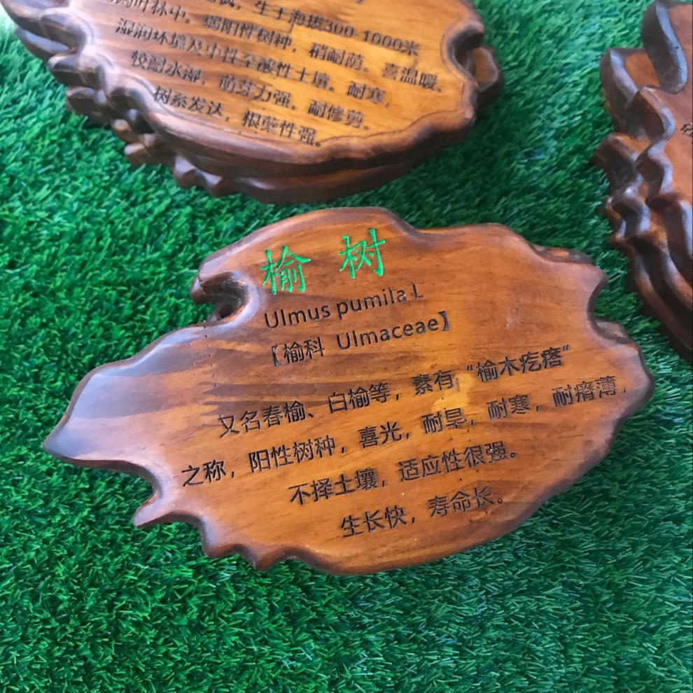 智能家居树木标识牌 树牌实木质花草牌树木牌装饰挂牌植物标识牌悬挂