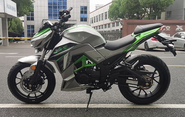 新款n19国产大蟒蛇z1000重型机车摩托车街车国四电喷可上牌大蟒蛇单缸