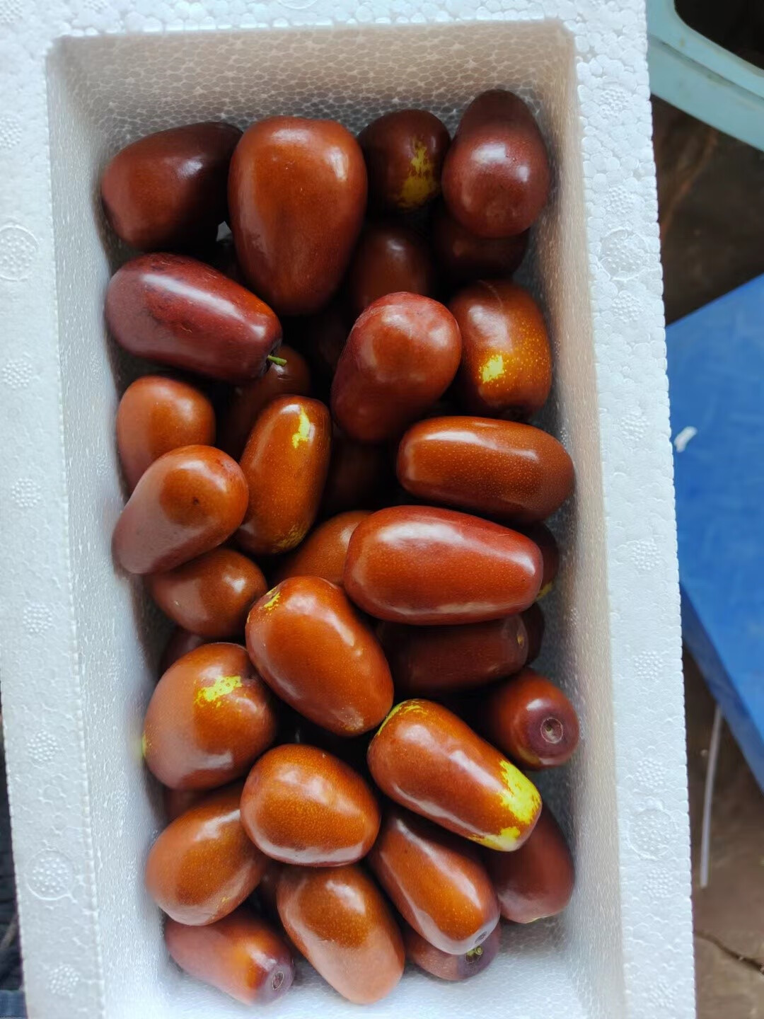 鲜枣脆枣山西长红枣非i冬枣大枣5斤现货 2400g 已经蒸熟冷冻枣 4斤一