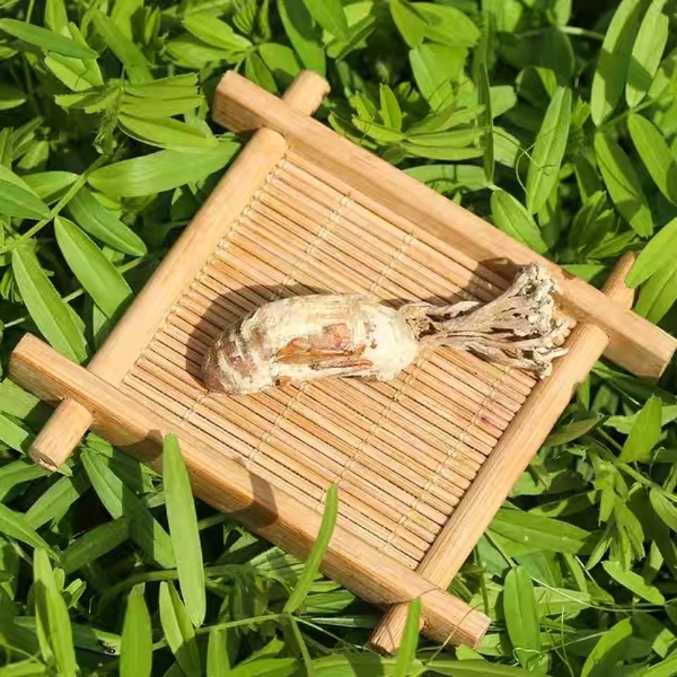 伟博精选新货金蝉花金蚕花冬虫夏草替代大别山知了花250克