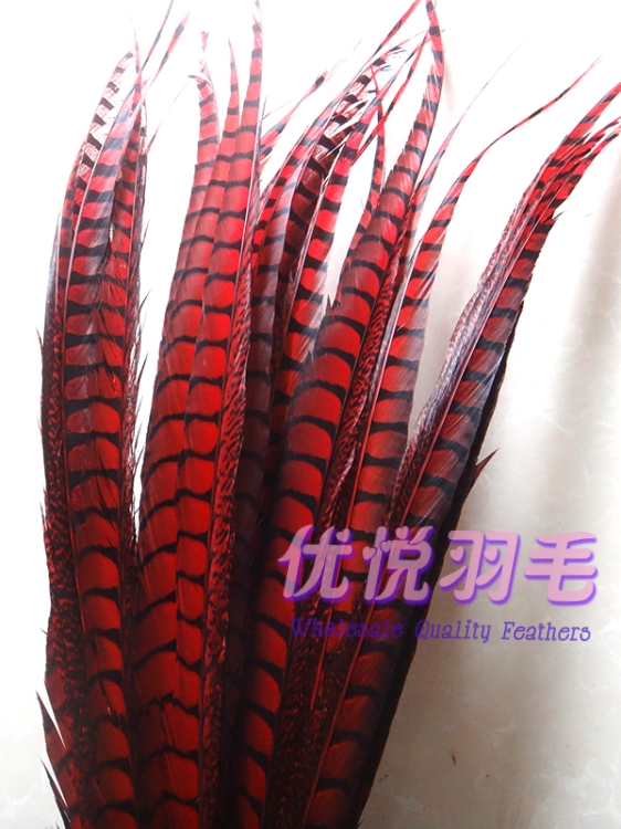 舞台俏花旦京剧戏曲头饰翎子鸡毛鸡尾野鸡毛鸡侧尾羽毛 黄色80-90cm