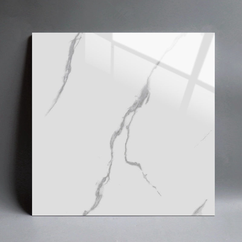 瓷砖佛山瓷砖砖800x800客厅通体大理石磁砖60x60玻化砖地砖工程砖古堡