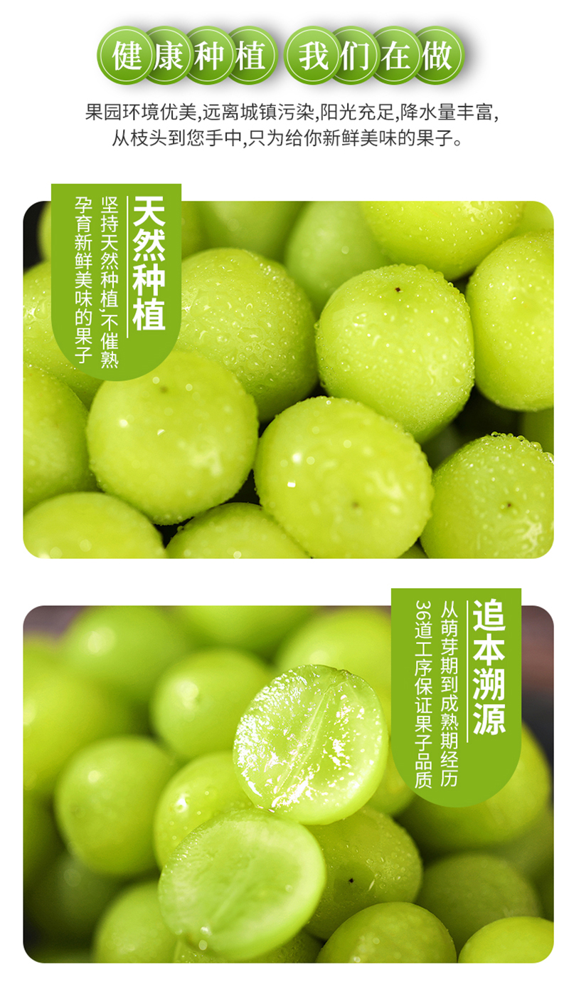 【顺丰直发】阳光玫瑰葡萄晴王青提子新鲜水果香印青提 3斤串果