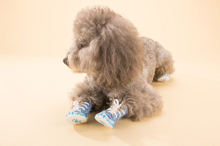 星星牛仔狗鞋春夏透气宠物泰迪犬比熊贵宾泰迪鞋海星帆布狗凉鞋星星