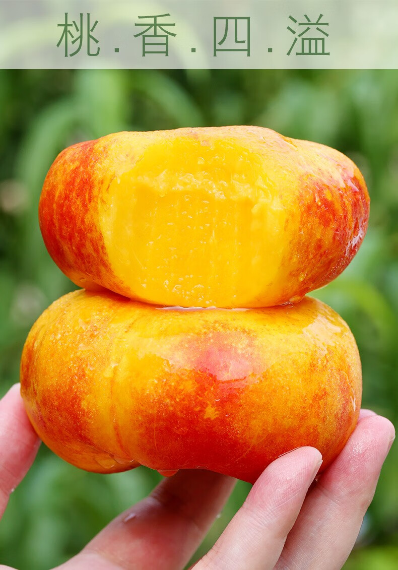 黄金油蟠桃蒙阴黄油扁桃新鲜现摘5斤水果蜜桃子非毛红桃黄扁桃4黄金油