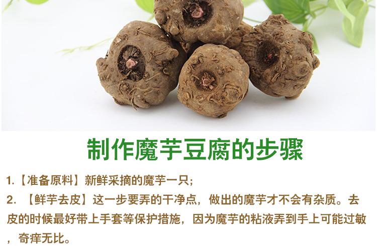 大魔芋新鲜个大农家现挖现发正宗生魔芋头做魔芋豆腐花魔芋5斤